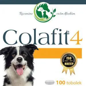 Colafit 4