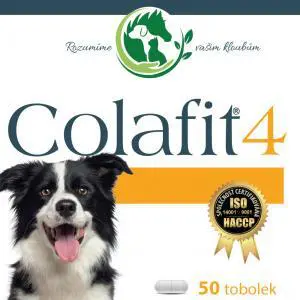 Colafit 4