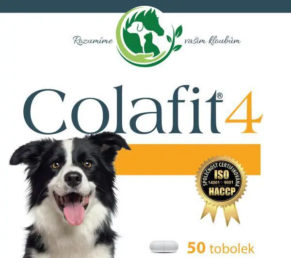 Colafit 4