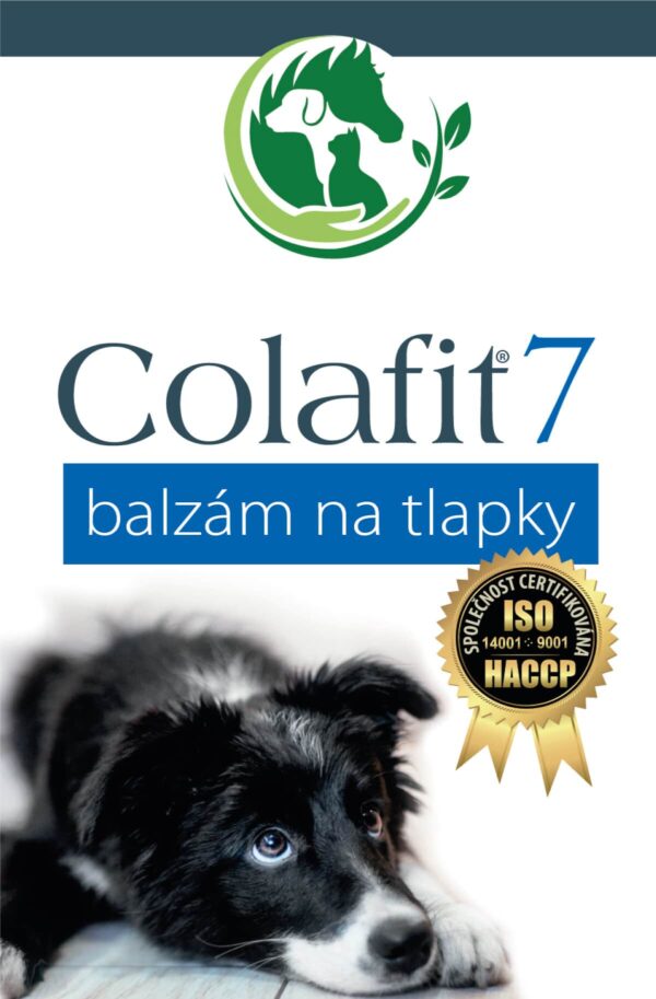 Dárkový balíček Colafit - S