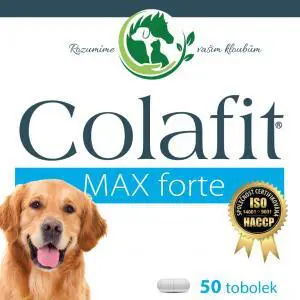 Colafit Max forte