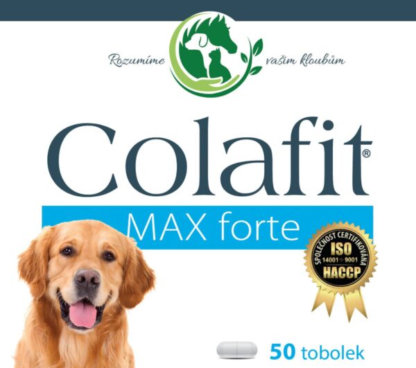 Colafit Max forte