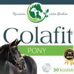 Colafit-Pony-(30kostek)-obrazek