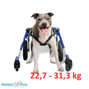 Walkin' Wheels Střední / Velký invalidní vozík plná podpora (4-kolový)
