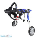Medium-Rear-Wheelchair