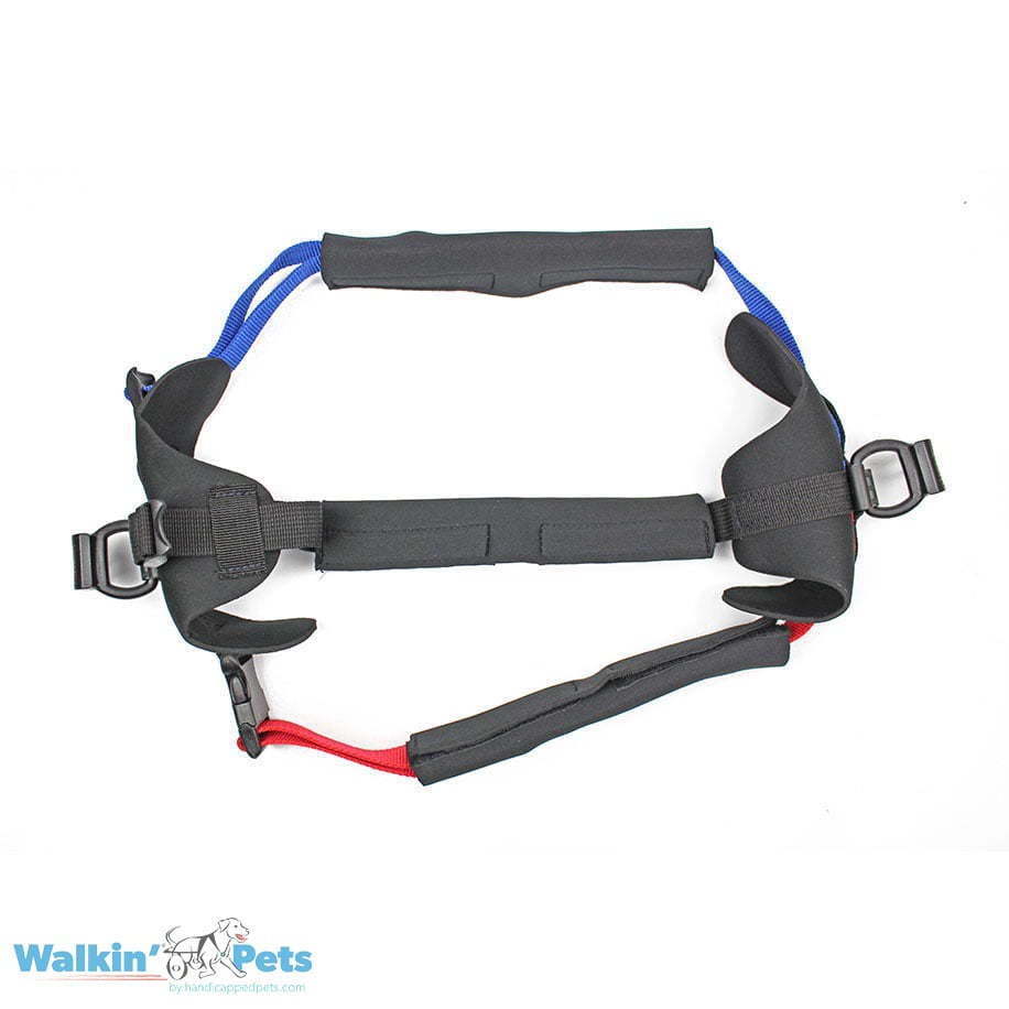 large-front-harness-1