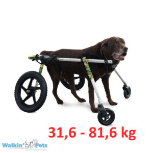 Walkin' Wheels Velký Invalidní vozík plná podpora (4-kolový)