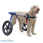 med-large-dog-wheelchair