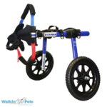 medium-walkin-wheels-2