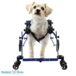 piper-wheelchair-768×768