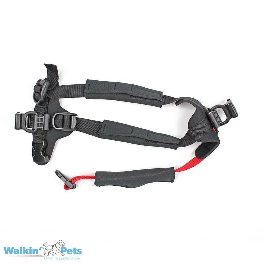 small-front-harness-3