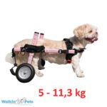 small-walkin-wheels-1-kg