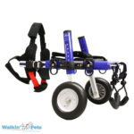 small-walkin-wheels-2