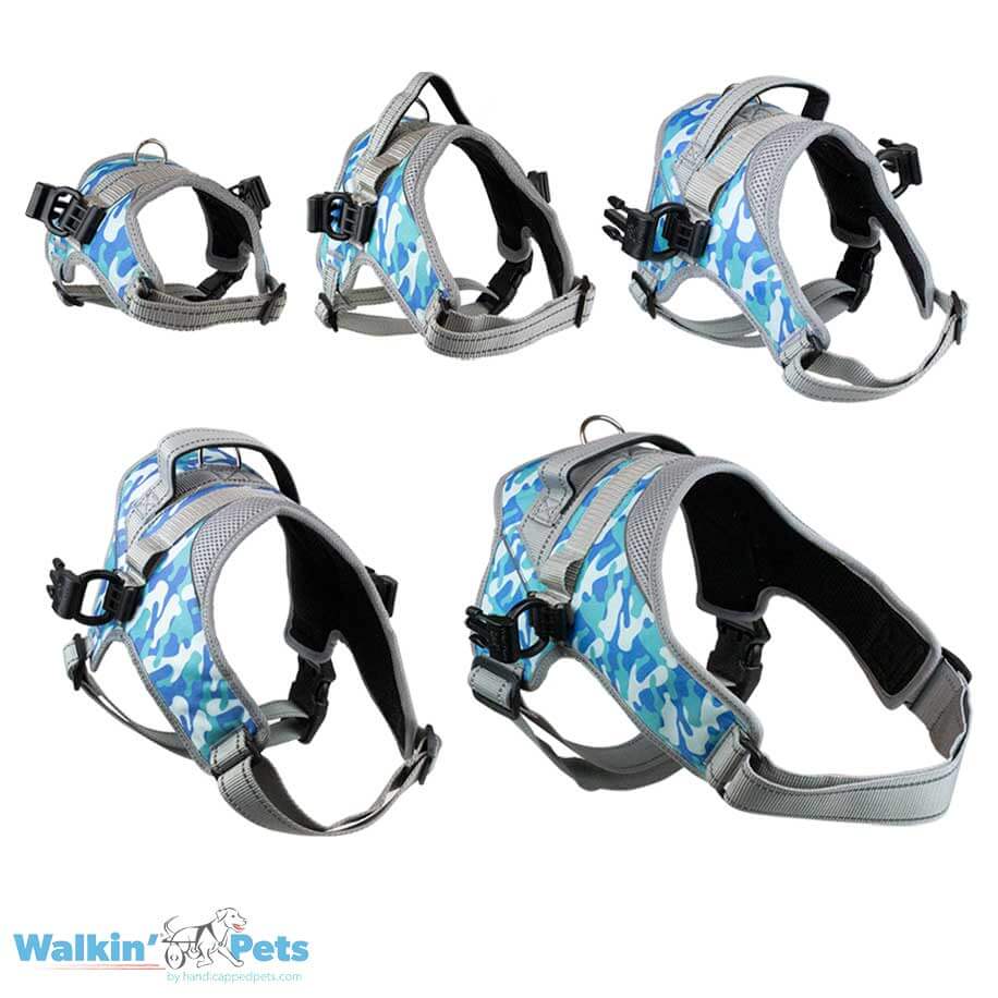 walkin-warrior-harness-allsizes