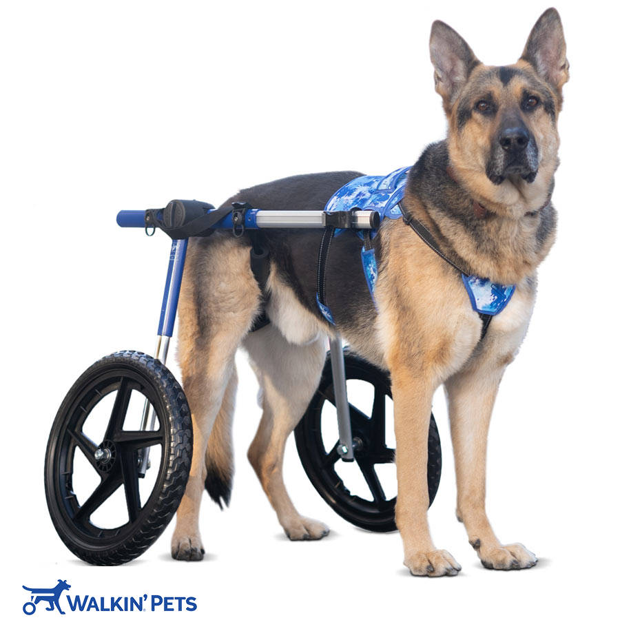 buddy-up-front-harness-wheelchair